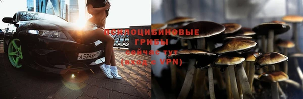твердый Ростов