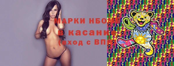 стаф Балахна
